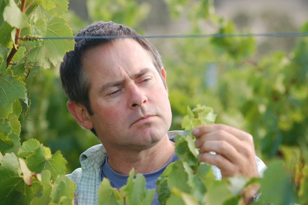 Como se faz a degustação olfativa de um vinho?